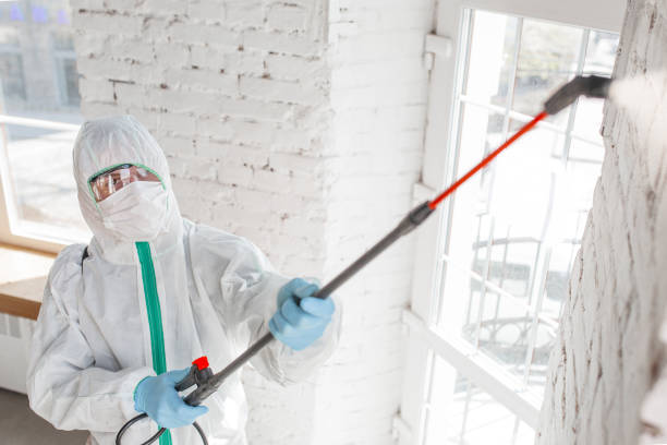 Best Mold Remediation for Healthcare Facilities  in Eldridge, IA