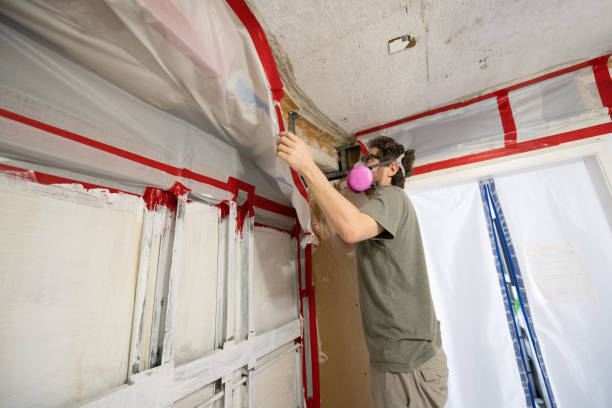 Best Mold Remediation for Vacation Homes  in Eldridge, IA