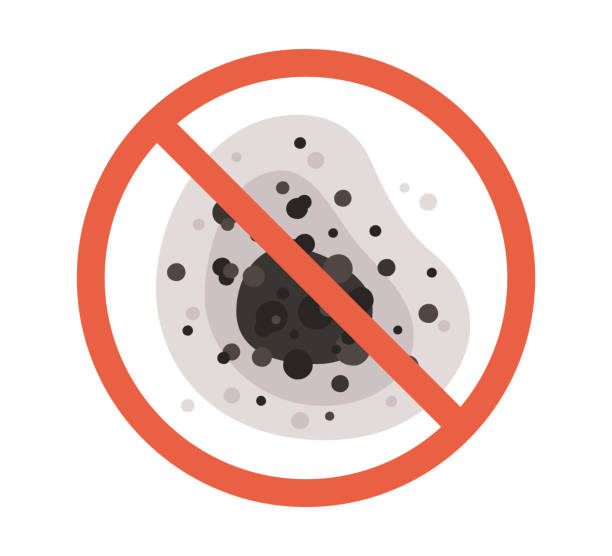Best Indoor Air Quality Assessment  in Eldridge, IA