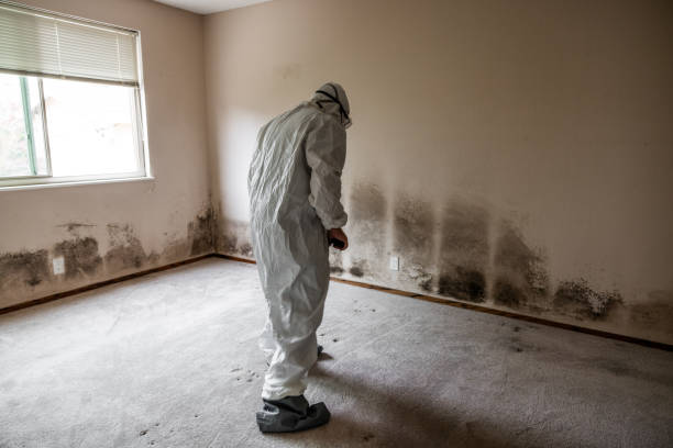 Best Air Quality Testing for Mold Spores  in Eldridge, IA